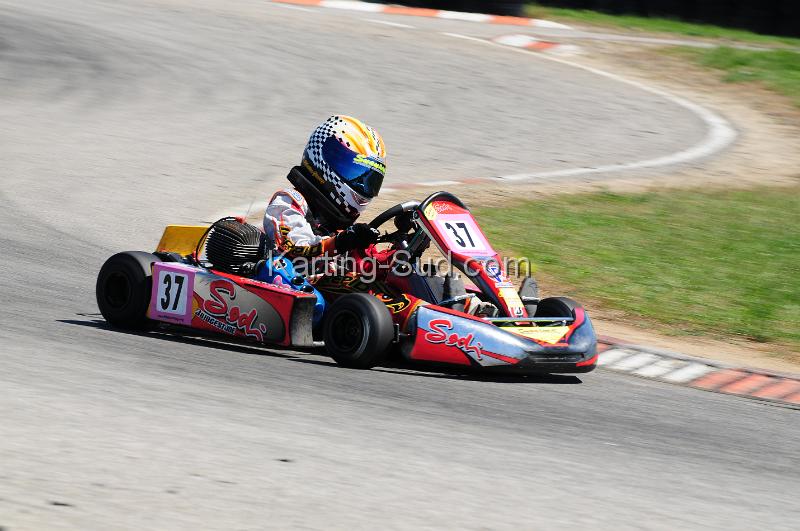 DSC_3528.JPG