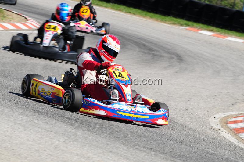 DSC_3619.JPG