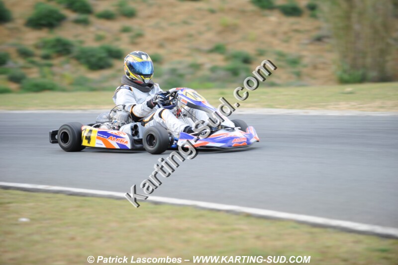 _DSC1133.JPG