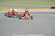 _DSC0528