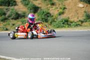 _DSC0554