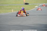 _DSC0567