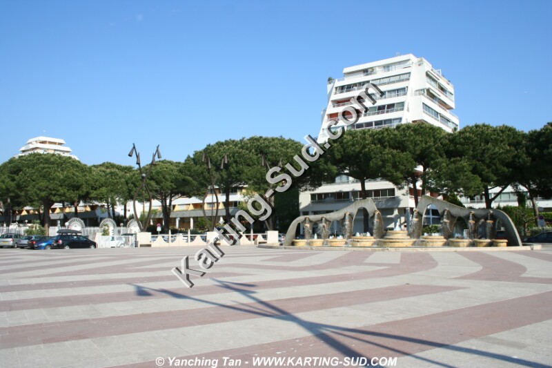 IMG_3516.JPG