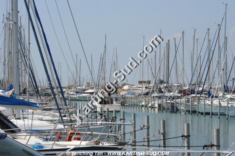 IMG_4560.JPG