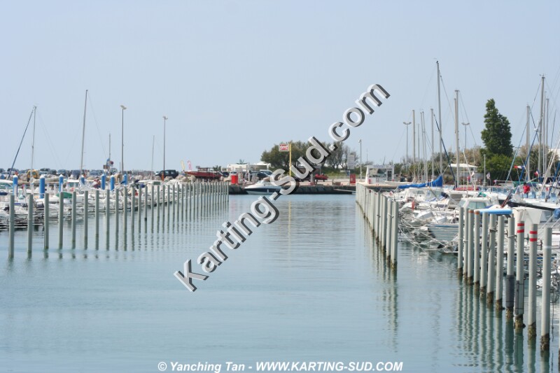 IMG_4563.JPG
