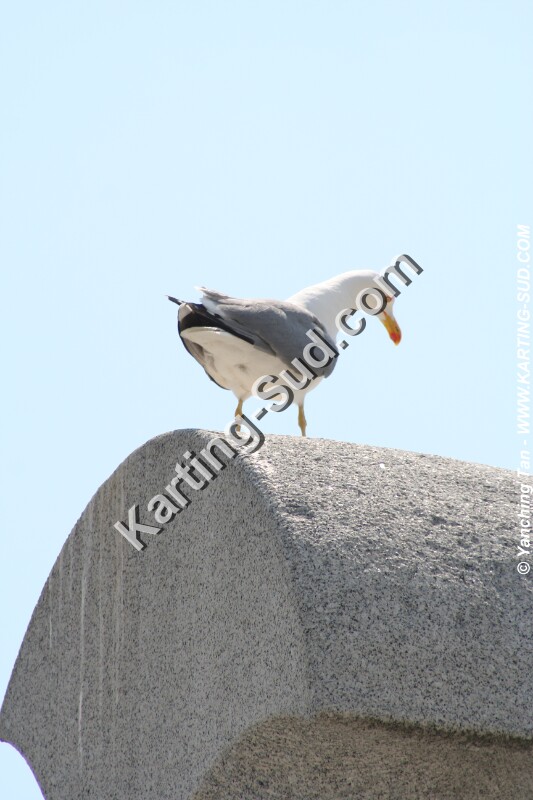 IMG_4637.JPG