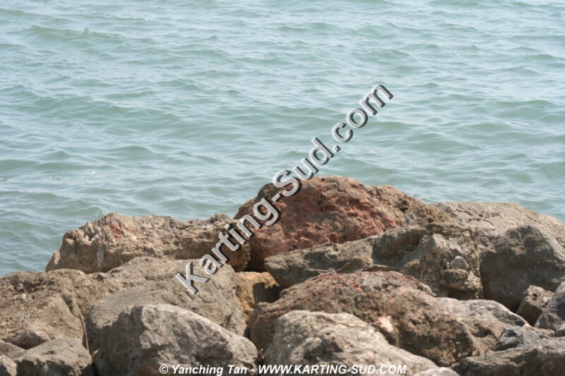 IMG_4664.JPG
