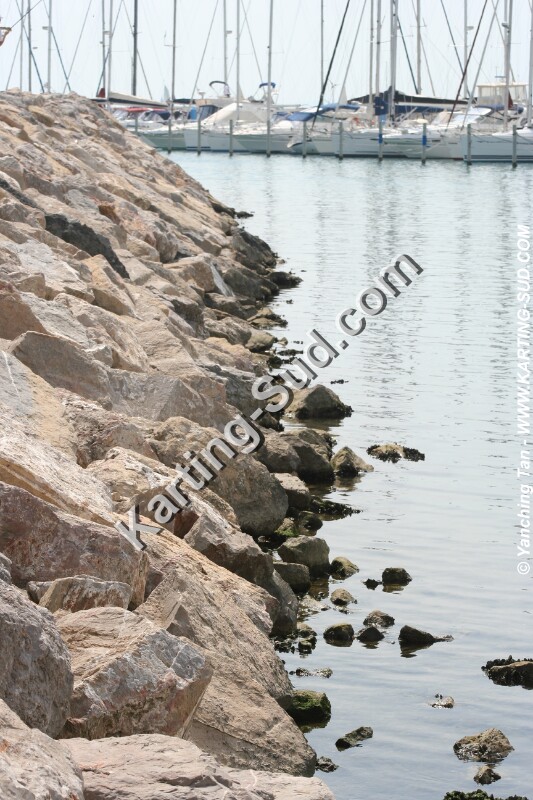 IMG_4690.JPG