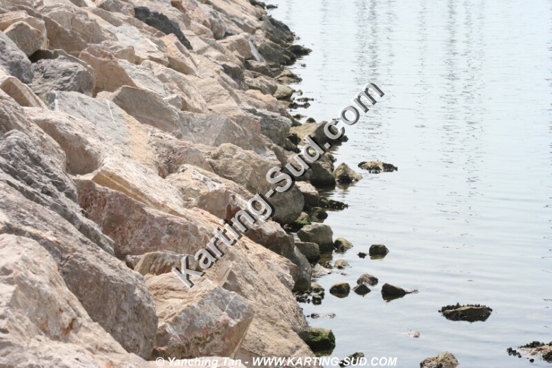 IMG_4691.JPG