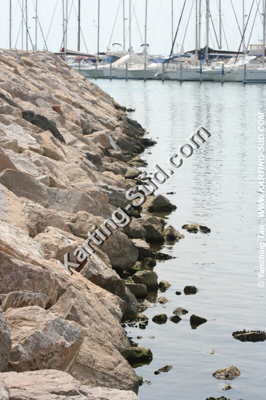 IMG_4692.JPG