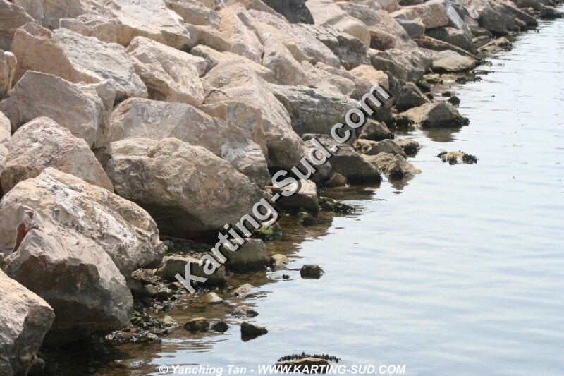 IMG_4694.JPG