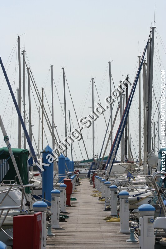 IMG_4703.JPG