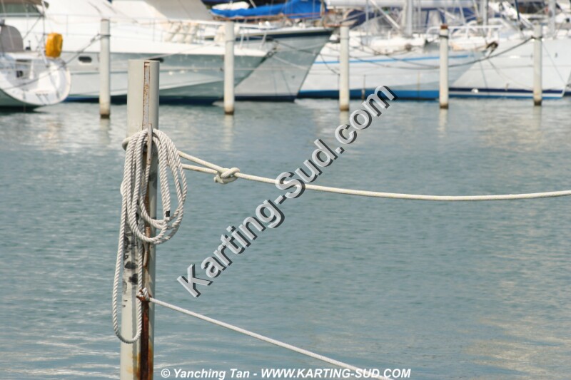 IMG_4719.JPG
