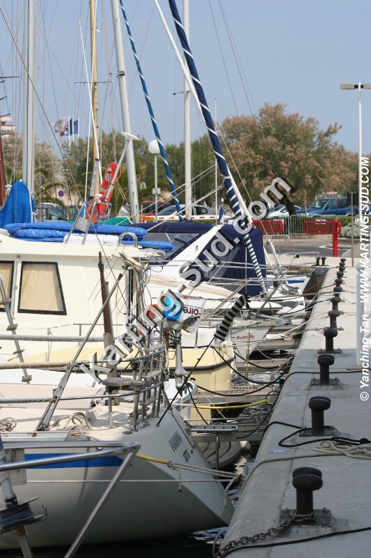 IMG_4728.JPG