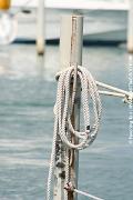 IMG_4723