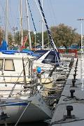 IMG_4728