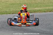 DSC_4017