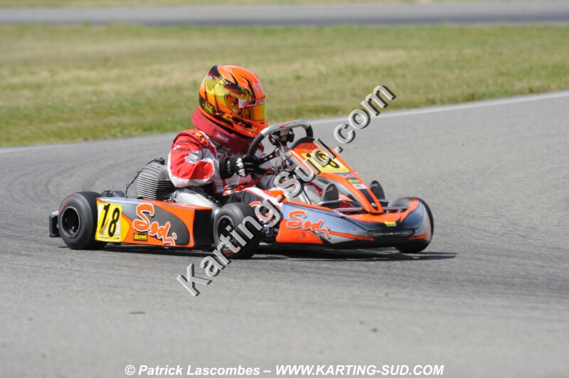 _DSC3727.JPG