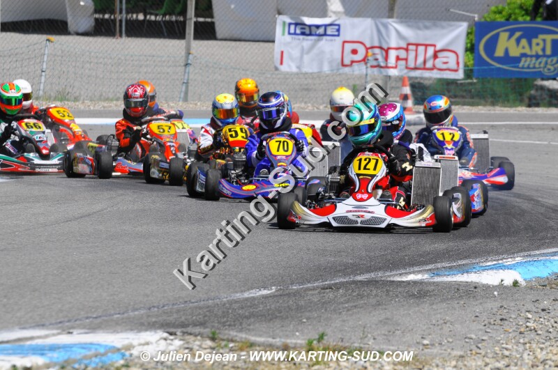 DSC_8335.jpg