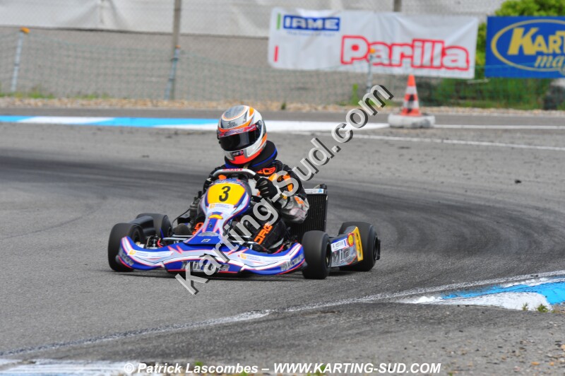 DSC_0246.JPG