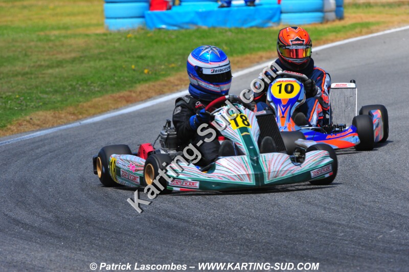 DSC_1294.JPG