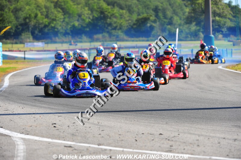 DSC_2338.JPG
