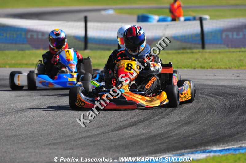DSC_2355.JPG