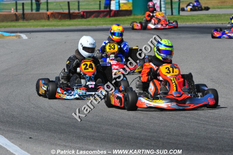 DSC_2939.JPG