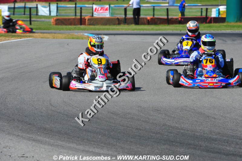 DSC_3000.JPG