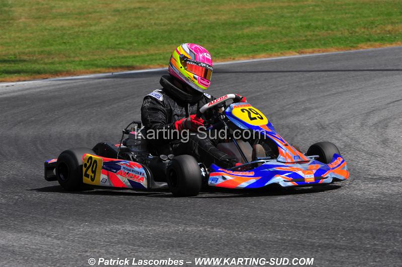 DSC_0908.JPG