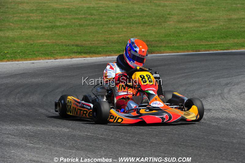 DSC_0915.JPG