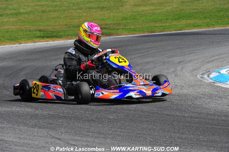 DSC_0918.JPG