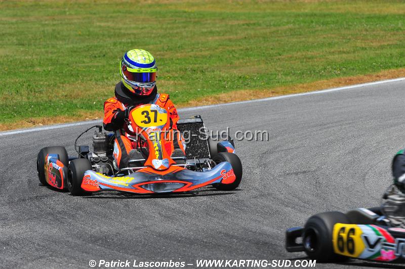 DSC_1137.JPG