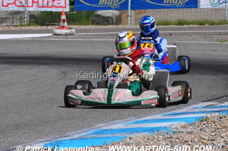 DSC_1767.JPG