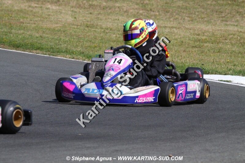 IMG_8248.JPG