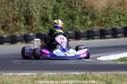 IMG_8386