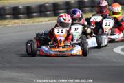 IMG_8545