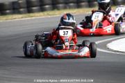 IMG_8562