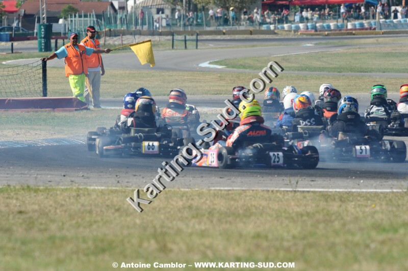 DSC_3317.JPG