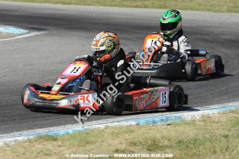DSC_3370.JPG
