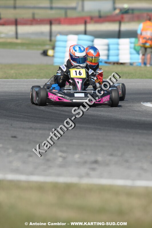 DSC_4433.JPG