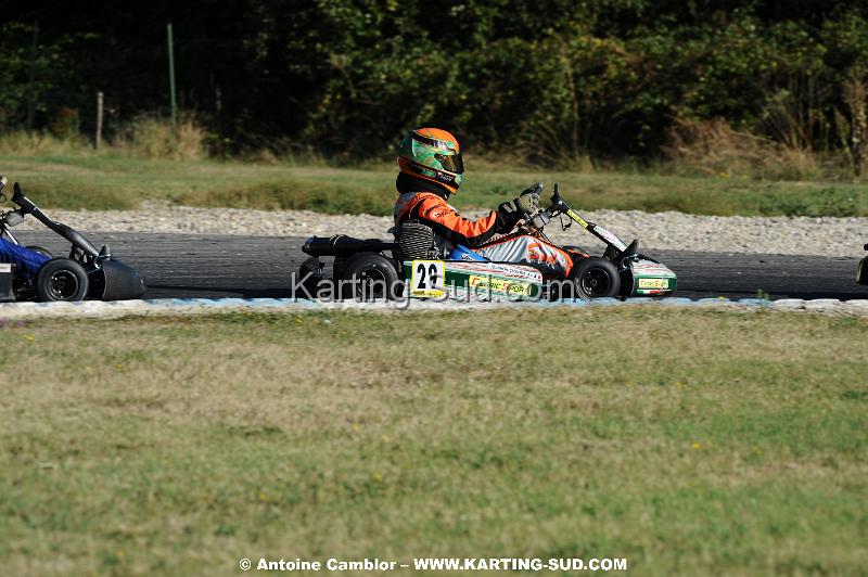 DSC_3081.JPG