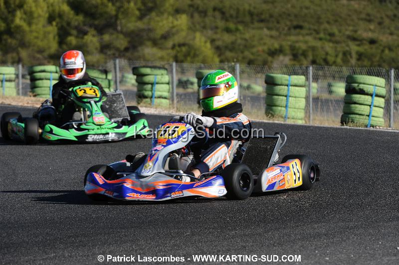 DSC_7559.JPG
