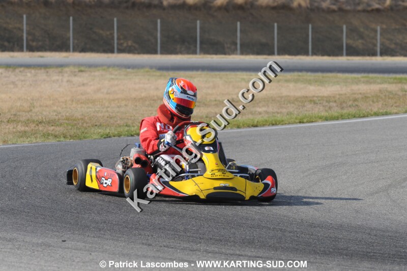 DSC_2919.JPG