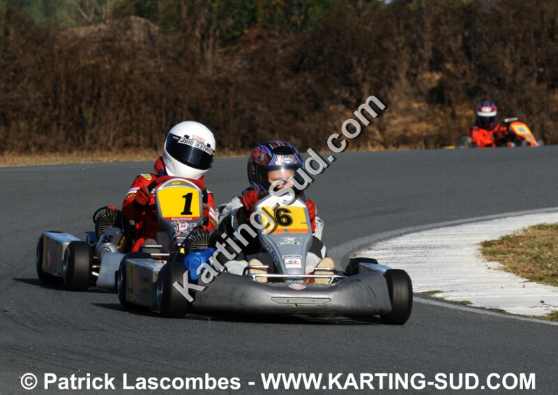 DSC_8661.JPG