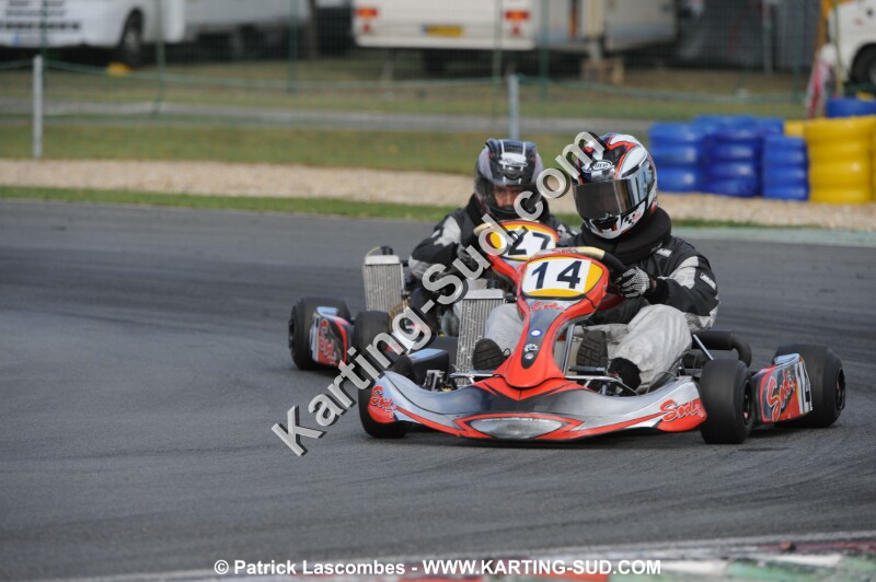 DSC_4317.JPG