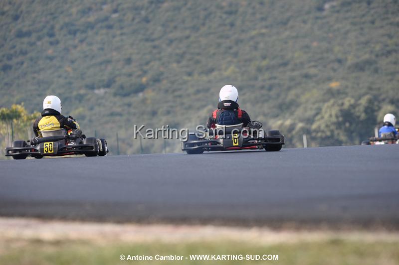 DSC_1875.JPG