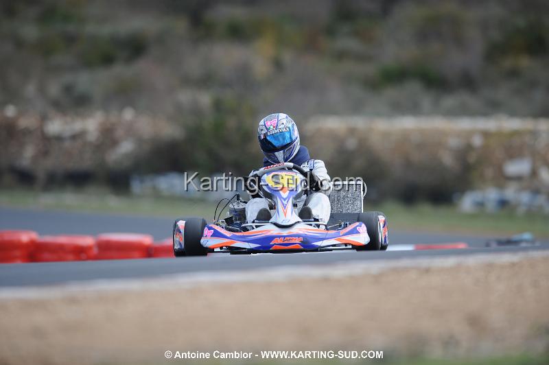 DSC_3911.JPG