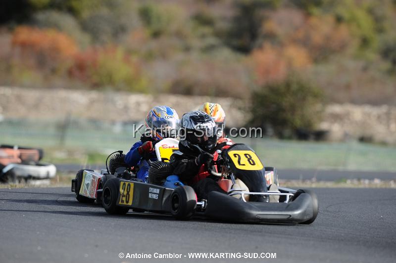 DSC_4224.JPG