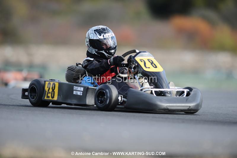 DSC_4260.JPG